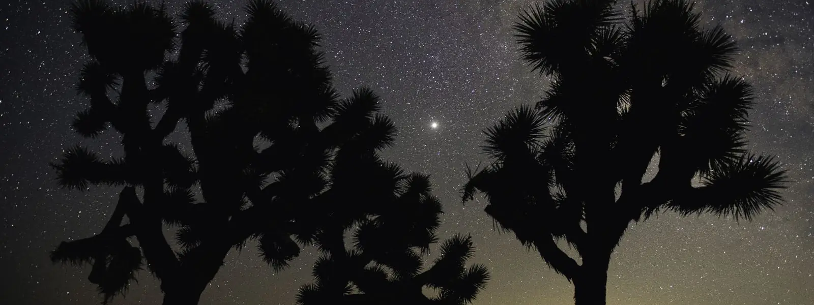 Milky Way, Jupiter, and night sky over Queen Valley