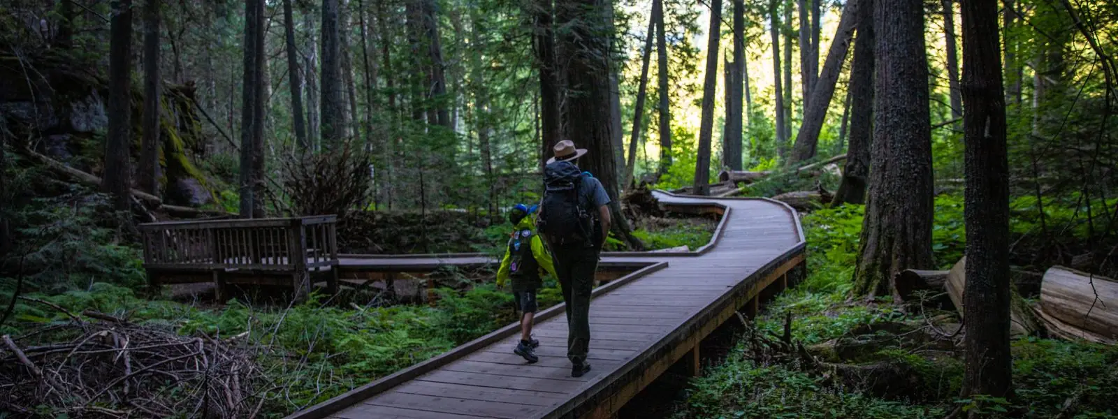 A park ranger enjoying a hike along Trail of the Cedars